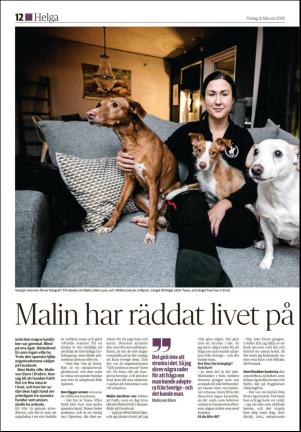 hudiksvallstidning_bilag-20180216_000_00_00_012.pdf
