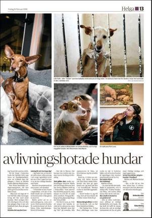 hudiksvallstidning_bilag-20180216_000_00_00_013.pdf