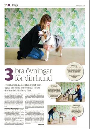 hudiksvallstidning_bilag-20180504_000_00_00_010.pdf
