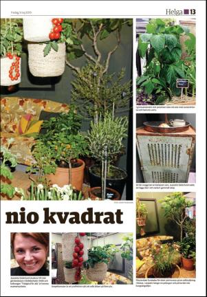 hudiksvallstidning_bilag-20190503_000_00_00_013.pdf