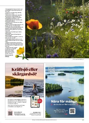 hudiksvallstidning_bilag-20250617_000_00_00_107.pdf
