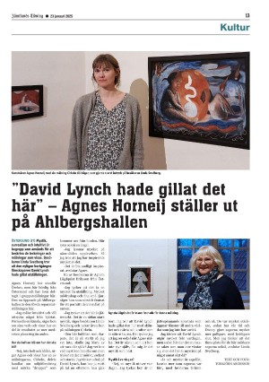 jamtlandstidning-20250123_000_00_00_013.pdf