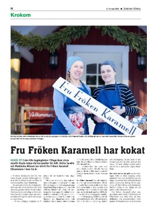 jamtlandstidning-20250213_000_00_00_016.pdf