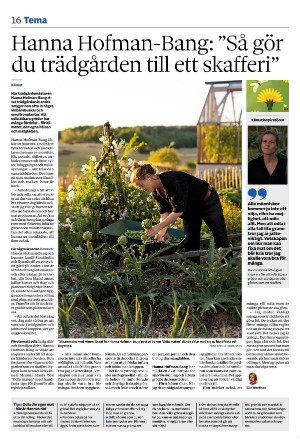 jonkopingsposten-20250717_000_00_00_016.pdf