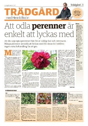 jonkopingsposten_a-20211016_000_00_00_021.pdf
