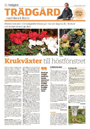 jonkopingsposten_a-20211030_000_00_00_020.pdf