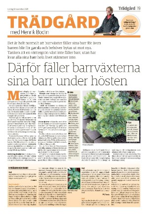 jonkopingsposten_a-20211113_000_00_00_019.pdf