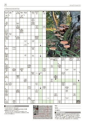 jonkopingsposten_a-20220219_000_00_00_020.pdf