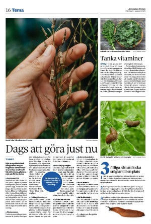 jonkopingsposten_a-20250811_000_00_00_016.pdf