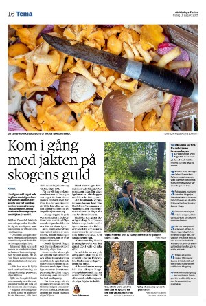 jonkopingsposten_a-20250819_000_00_00_016.pdf