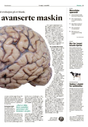 klassekampen-20250102_000_00_00_013.pdf