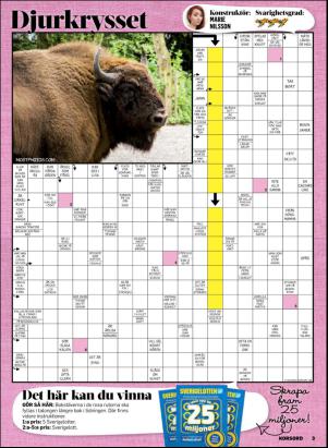 korsord-20170220_000_00_00_003.pdf