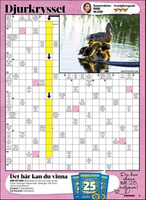 korsord-20170313_000_00_00_003.pdf