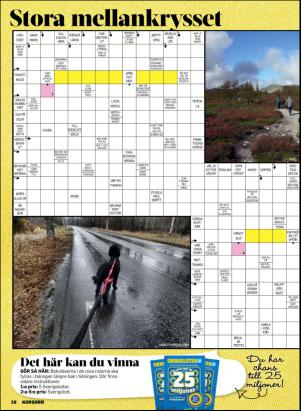 korsord-20170313_000_00_00_010.pdf