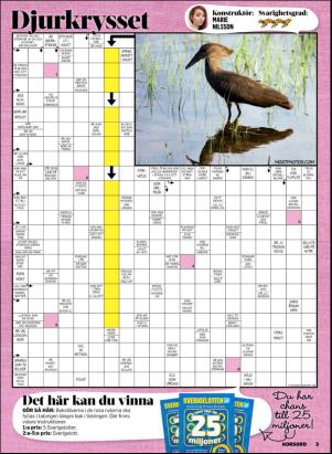 korsord-20170320_000_00_00_003.pdf