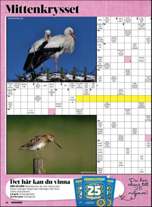 korsord-20170320_000_00_00_014.pdf