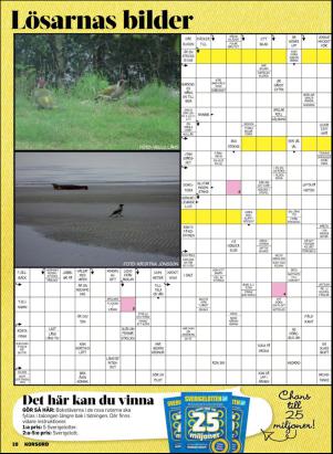 korsord-20170501_000_00_00_010.pdf