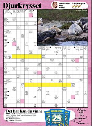 korsord-20170529_000_00_00_003.pdf