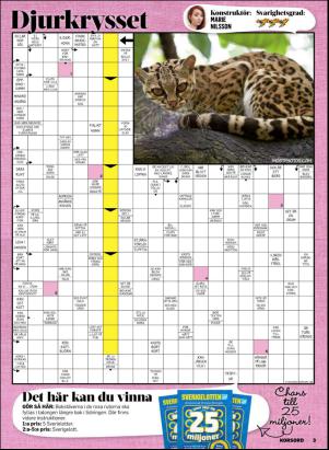 korsord-20170605_000_00_00_003.pdf