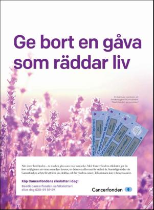 korsord-20170717_000_00_00_002.pdf