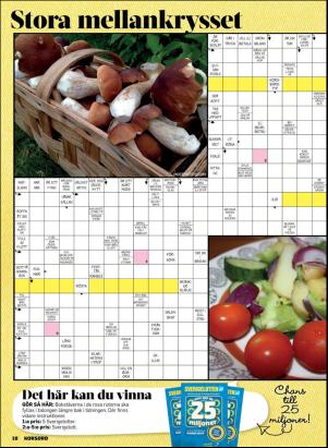 korsord-20170925_000_00_00_010.pdf