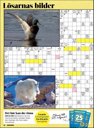 korsord-20180219_000_00_00_010.pdf