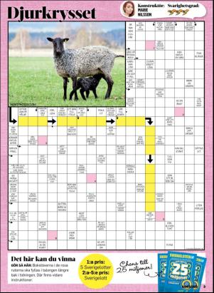 korsord-20180409_000_00_00_003.pdf