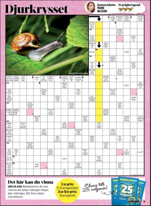 korsord-20180604_000_00_00_003.pdf