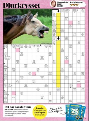 korsord-20180702_000_00_00_003.pdf