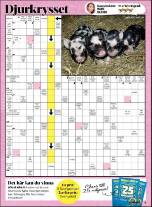 korsord-20180716_000_00_00_003.pdf