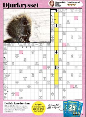 korsord-20190107_000_00_00_003.pdf