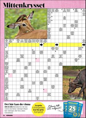 korsord-20190225_000_00_00_014.pdf