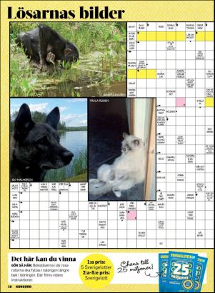 korsord-20190304_000_00_00_010.pdf