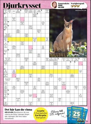 korsord-20190506_000_00_00_003.pdf