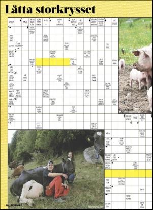 korsord-20190506_000_00_00_028.pdf