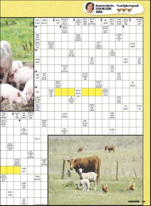 korsord-20190506_000_00_00_029.pdf