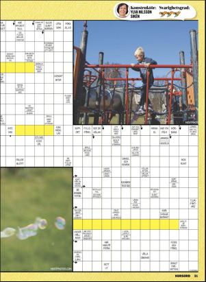 korsord-20190506_000_00_00_031.pdf