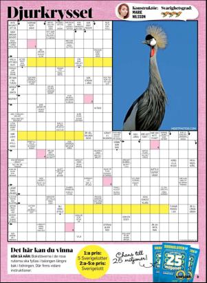 korsord-20190513_000_00_00_003.pdf