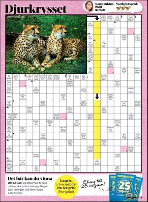 korsord-20190624_000_00_00_003.pdf