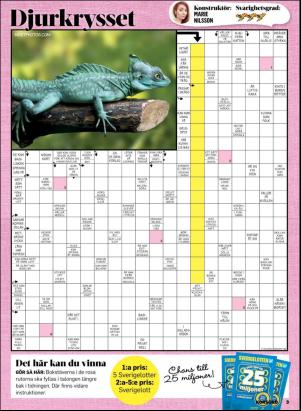 korsord-20190715_000_00_00_003.pdf