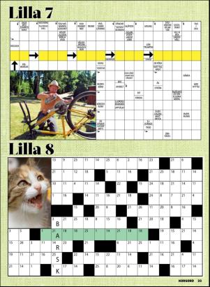 korsord-20190715_000_00_00_033.pdf