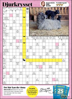 korsord-20190729_000_00_00_003.pdf