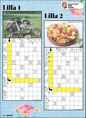 korsord-20190729_000_00_00_030.pdf