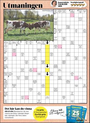 korsord-20190805_000_00_00_009.pdf