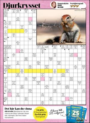 korsord-20190826_000_00_00_003.pdf