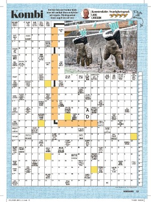 korsord-20210201_000_00_00_013.pdf