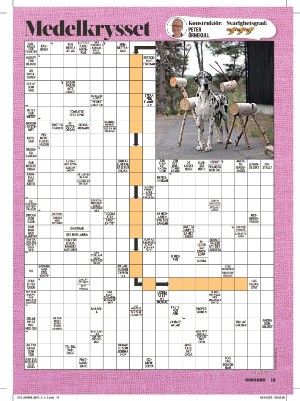 korsord-20220808_000_00_00_019.pdf