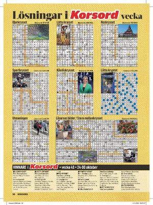 korsord-20221128_000_00_00_030.pdf