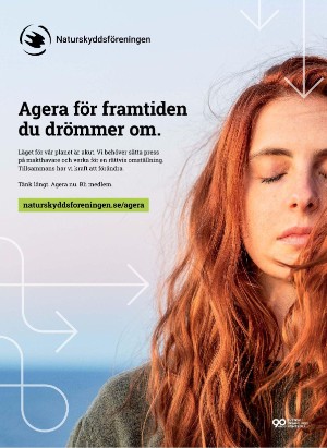 korsord-20251103_000_00_00_002.pdf