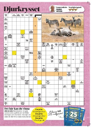 korsord-20251103_000_00_00_003.pdf